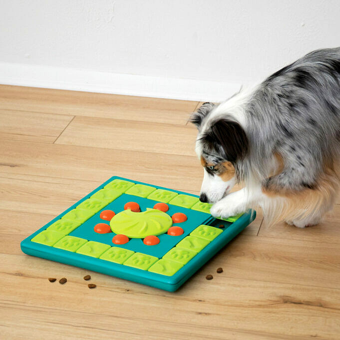 We Hebben Het Beste Puzzelspeelgoed Voor Honden Getest - Hier Zijn Onze Top 7 Keuzes!